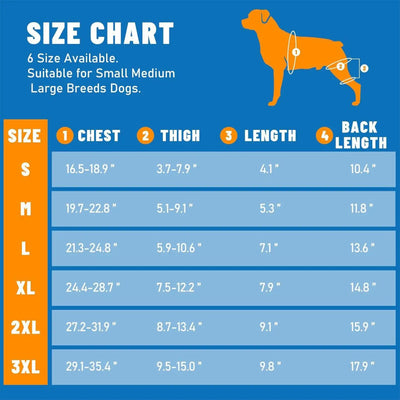 Attelle Chien 4 Stabilisateurs Métalliques Soutien Pattes Arrière