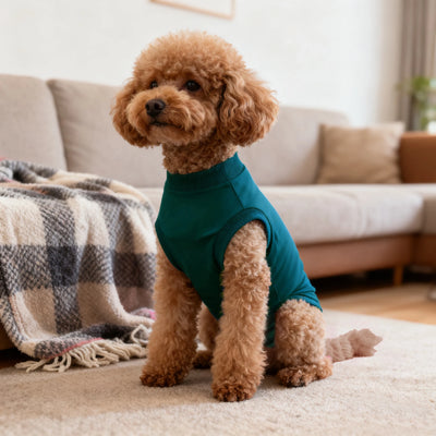 Combinaison Post-Opératoire Chien Alternative Collerette Jusqu'au 5XL