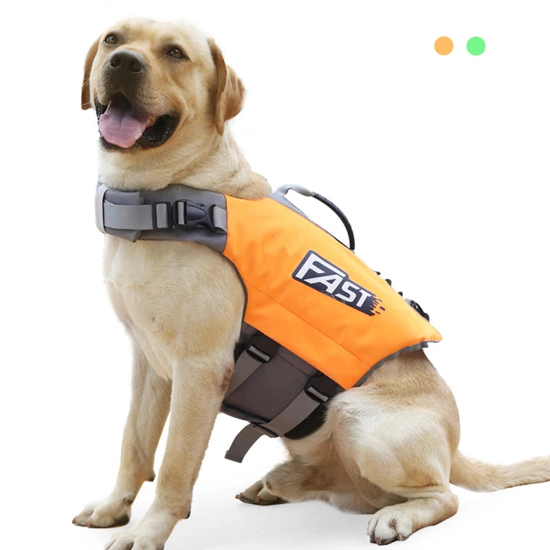 Gilet natation chien