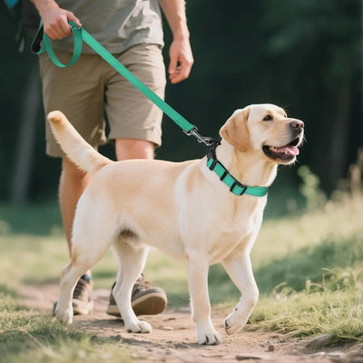 Collier Porte-AirTag Rembourré pour Chien