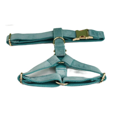Collier et Laisse Velours Vert Plaque Gravée Chien