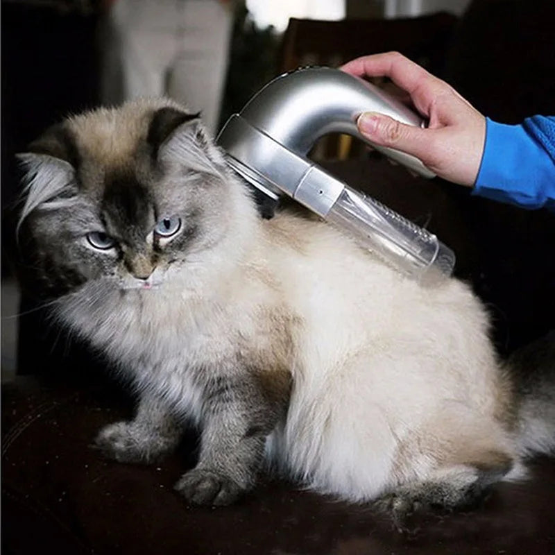 Aspirateur à Poils de Chien Portable à Piles Brosse Massante