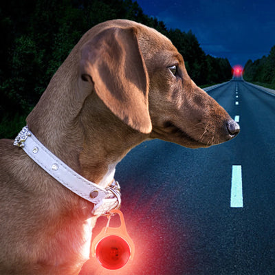 Pendentif Lumineux LED pour Collier de Chien