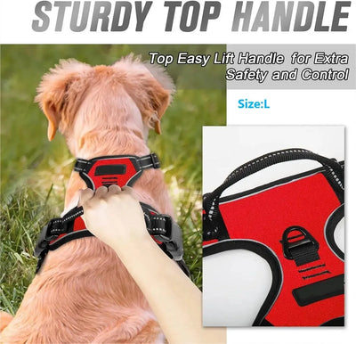 Ensemble Collier Harnais Laisse Simili Cuir Chien