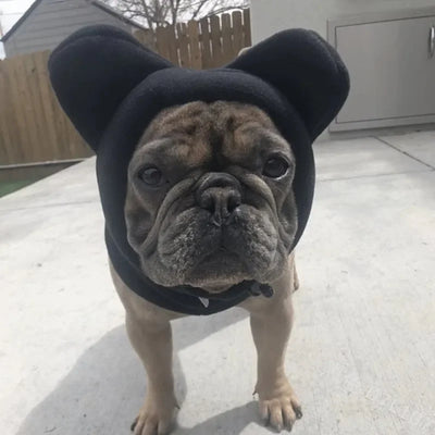 Ensemble Cagoule et Cache-Oreilles Chien Noir