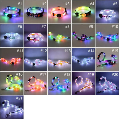 Collier et Laisse LED Lumineux pour Chien