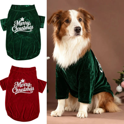 Pull de Noël Velours Confortable Grand Chien