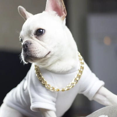Collier Chaîne Gourmette Dorée Bouledogue Pitbull 25 à 76 cm