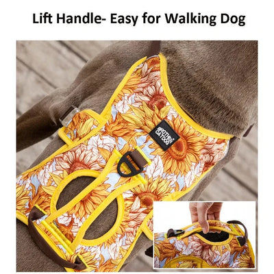 https://cdn.shopify.com/s/files/1/0489/2898/1148/files/Sf7a9f81d60e34daaa2e90f0bba4a2639A.webp?v=1742985862