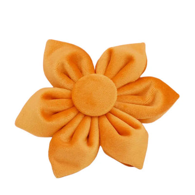 Collier et Laisse Velours Orange Personnalisé Chien