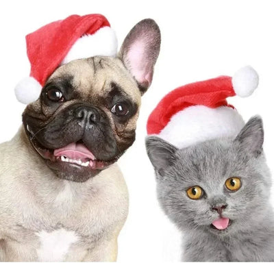 Chapeau de Père Noël Moelleux pour Chien
