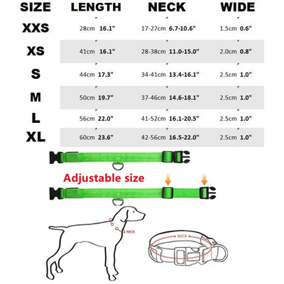 Collier LED Haute Visibilité Rechargeable Chien