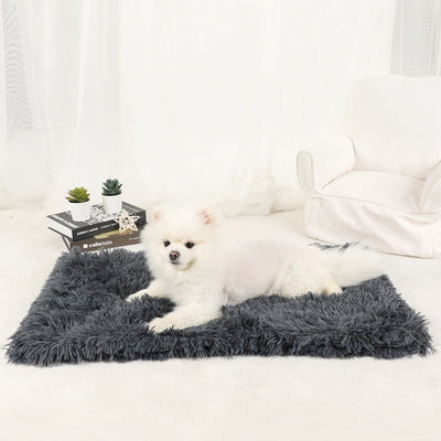 Tapis Moelleux Chien Ultra Doux Grand Format