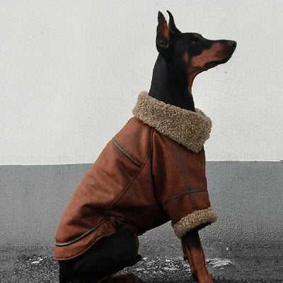 Manteau XXL Veste Hiver Très Gros Chien