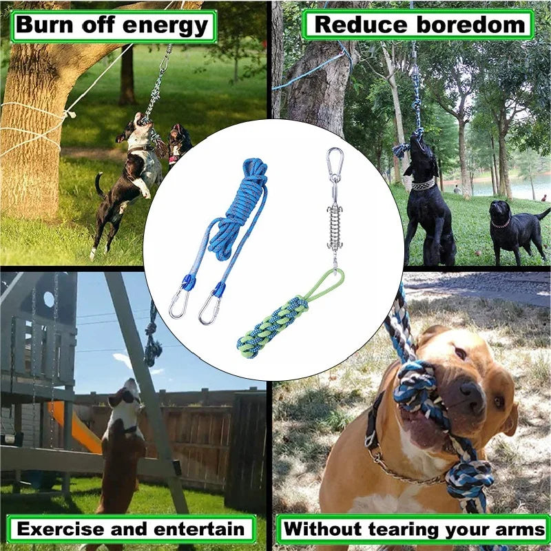 Spring Pole pour Gros Chien avec Ressort Inox et Corde