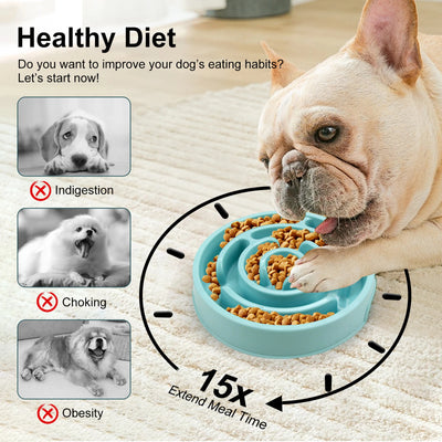Gamelle Anti-Glouton Labyrinthe 20 cm pour Chien Moyen