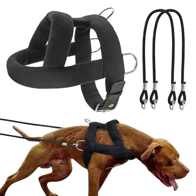 Harnais de Traction de Poids Rembourré pour Husky