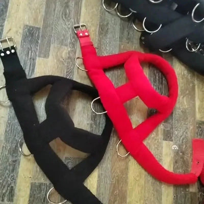 Harnais de Traction Pitbull Plastron Rembourré Corde Élastique