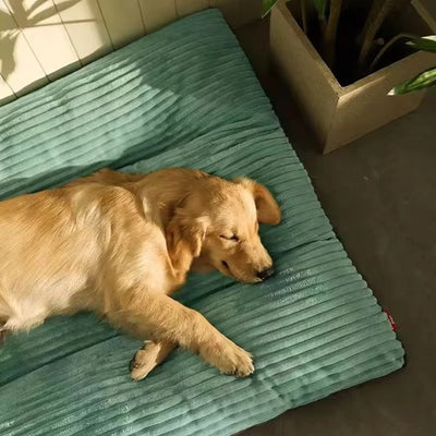 Lit doux pour chien - Gros-Chien.com