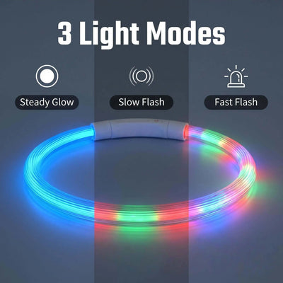 Collier Lumineux LED Étanche 3 Modes Rechargeable Chien