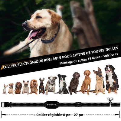 Collier Dressage 1600ft Gros Chien IPX7 Rechargeable