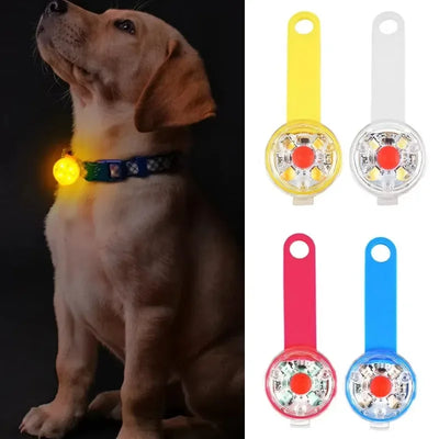 Collier Lumineux LED Securite Rechargeable Chien