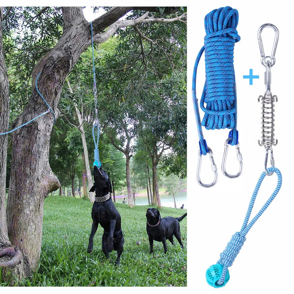 Spring Pole pour Gros Chien avec Ressort Inox et Corde