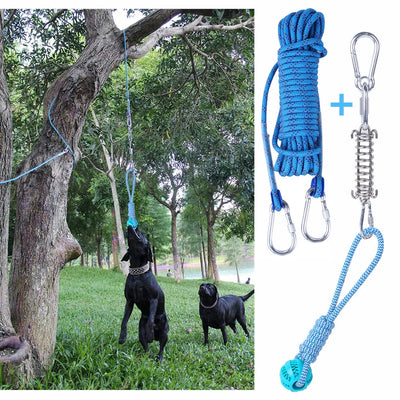 Spring Pole pour Gros Chien avec Ressort Inox et Corde