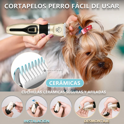 Tondeuse pour Chien Rechargeable Kit 4 Sabots et Accessoires