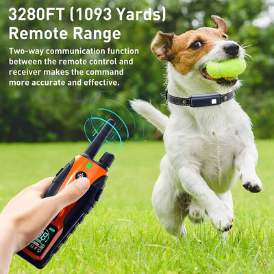 Collier Dressage 1000m 2 Chiens Lampe LED