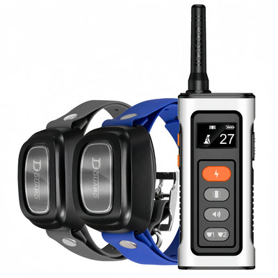 Collier Dressage 3400ft Gros Chien IPX7