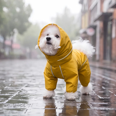 Manteau Imperméable pour Petit Chien Quatre Pattes Réfléchissant