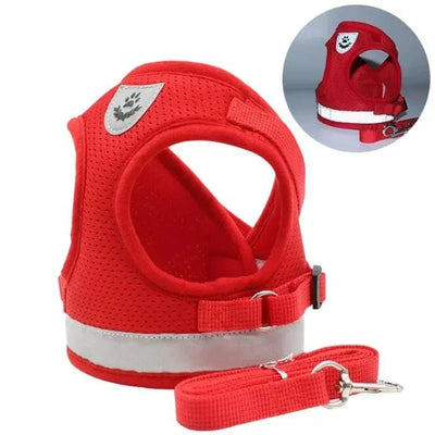 https://cdn.shopify.com/s/files/1/0489/2898/1148/files/Sfc0e0da2deaf4954bc5af7c644dc1f0c6.webp?v=1742913781