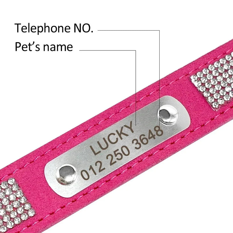 Medaille Acier Inoxydable Gravee Nom et Telephone Chien