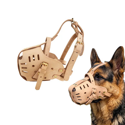 Muselière Chien Berger Allemand Rottweiler Boucles Dorées