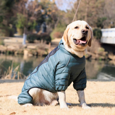 Manteau Doudoune Coton Gros Chien Hiver Coupe-Vent