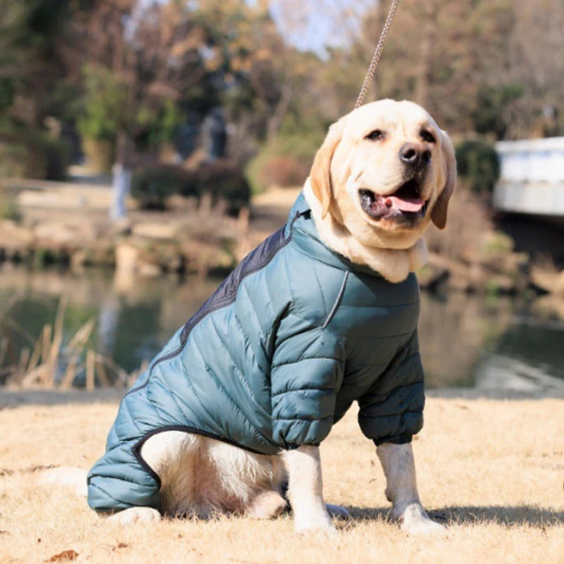 Manteau Doudoune Coton Gros Chien Hiver Coupe-Vent