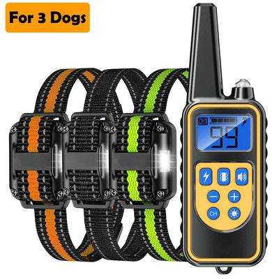 Collier Dressage LCD 800m Étanche Gros Chien