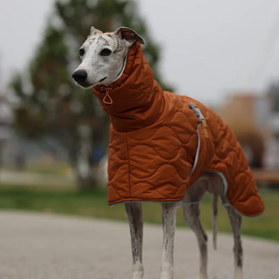 Veste Hiver Imperméable Doublure Épaisse Gros Chien