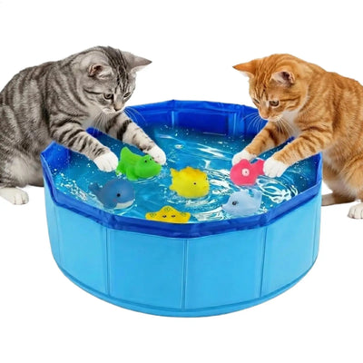 Mini Piscine pour Chien Pliable 30 cm Rince-Pattes