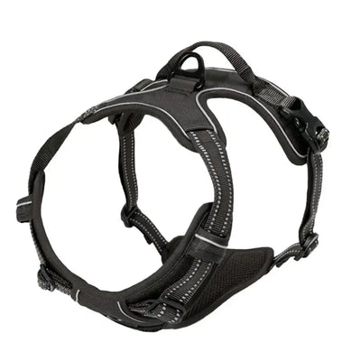 Ensemble Collier Harnais Laisse Simili Cuir Chien