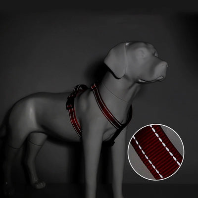 Harnais en H Réfléchissant Rembourré Nylon pour Husky