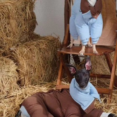 Manteau d'Hiver Réversible Lévrier Whippet