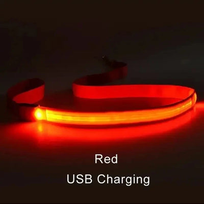Laisse LED Corde Lumineuse pour Chien