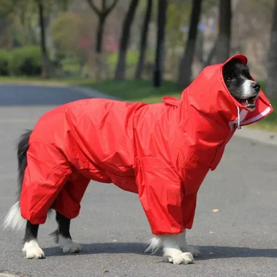 Manteau Imperméable à Capuche pour Grand Chien