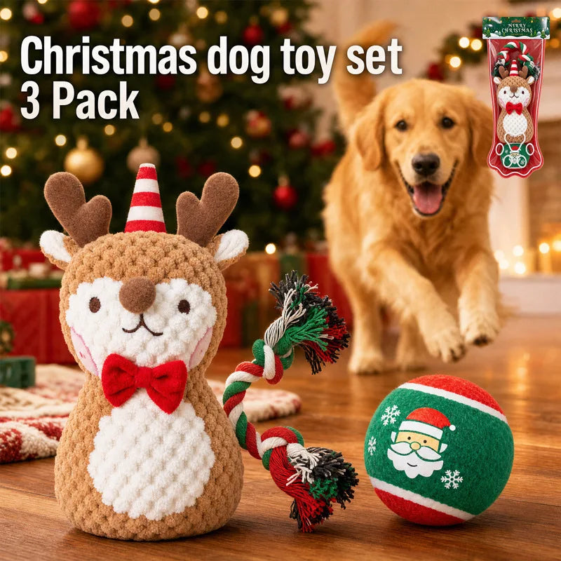 Ensemble de Jouets de Noël à Mâcher pour Chien