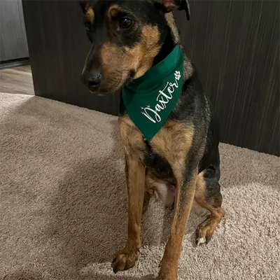 Bandana de Noël Personnalisé avec Nom pour Chien