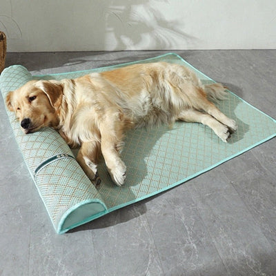 https://cdn.shopify.com/s/files/1/0763/9767/4819/files/Tapis_anti_stress_pour_chien_vert.jpg?v=1692026525