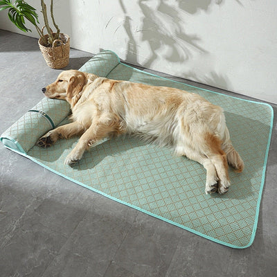 https://cdn.shopify.com/s/files/1/0763/9767/4819/files/Tapis_anti_stress_pour_chien_vert_kaki.jpg?v=1692026525