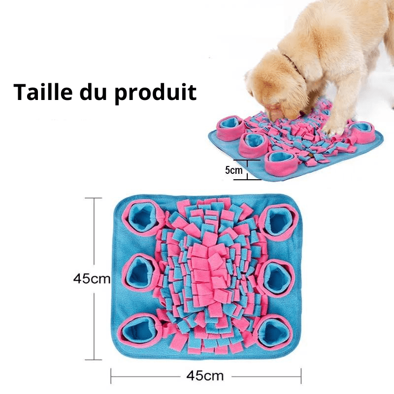 https://cdn.shopify.com/s/files/1/0763/9767/4819/files/Tapis_de_fouille_Bleu_et_Rose_taille.png?v=1749651326